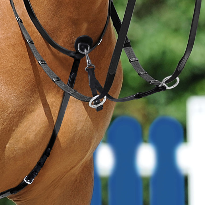 Passier Martingale