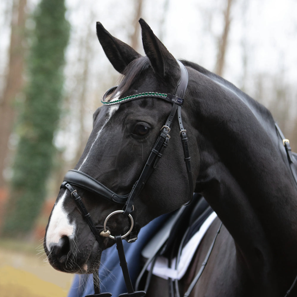 Passier fantastic stang en trenshoofdstel