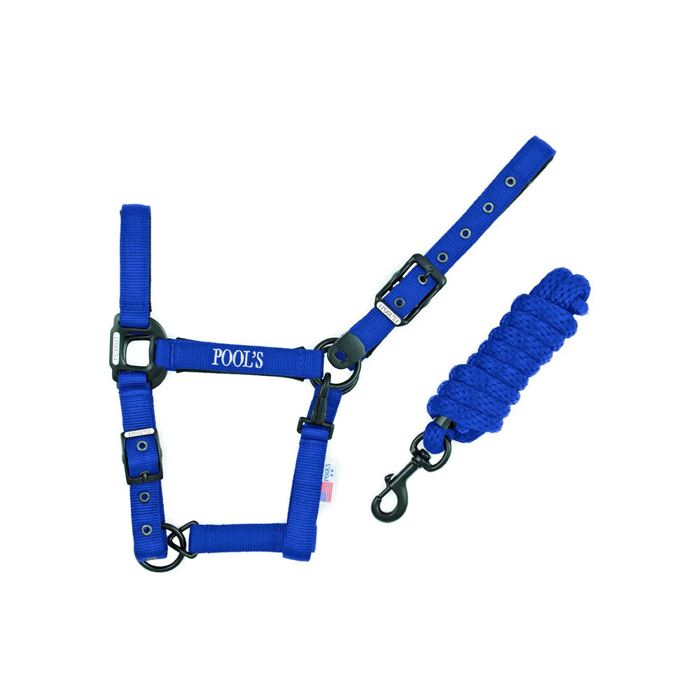 Pool's nylon halter CA00027K