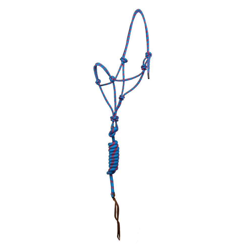 Halster van Pool met geknoopt touw en riem PLH03017