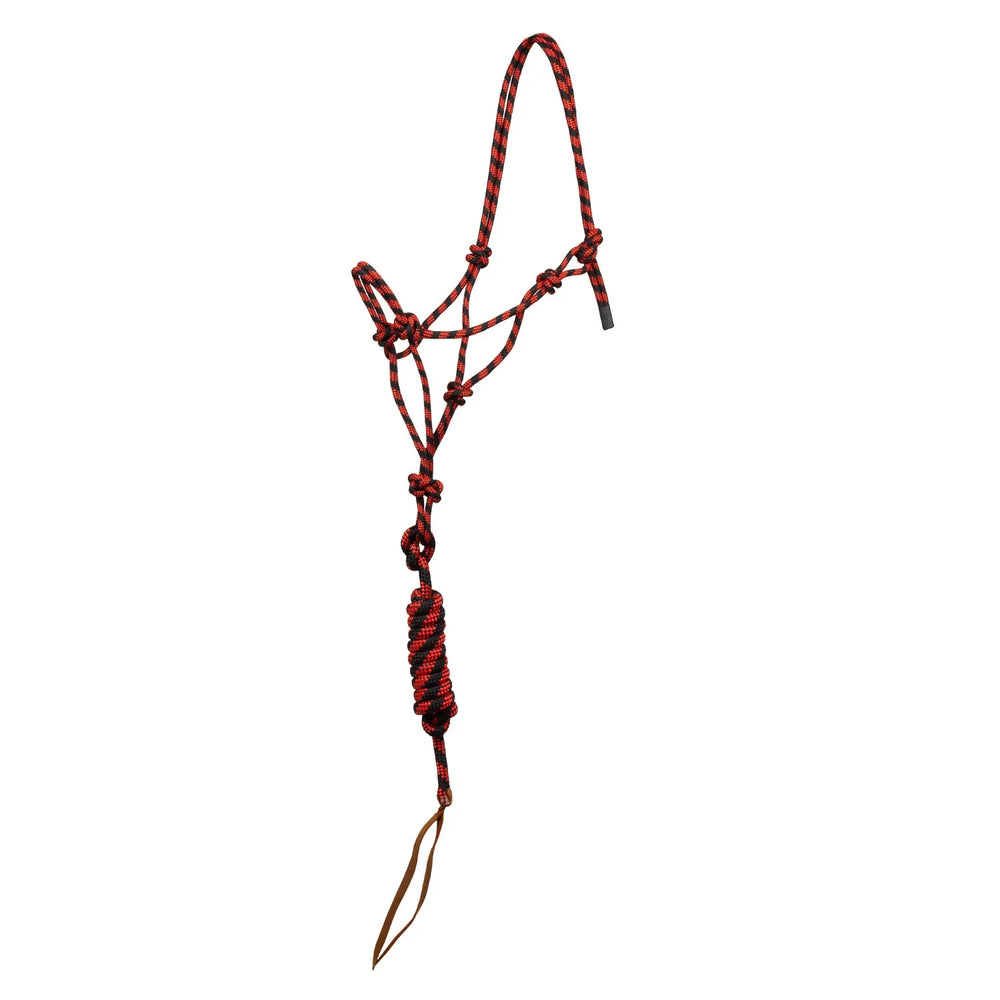 Halster van Pool met geknoopt touw en riem PLH03017